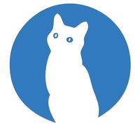 JasonCarlMorgan JCM Graphics Moon Cat Iron On HTV Transfer Sky Blue 280mm
