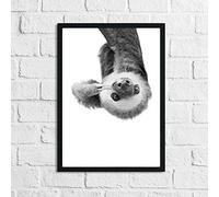JasonCarlMorgan Winster Creations Hanging Sloth Black & White Animal Nursery Children's Room Wall Decor Print A4 Normal