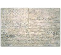 Jasper Johns Posters《White Flag》Canvas Painting Jasper Johns Abstract Wall Art Jasper Johns Prints for Modern Home Decor Pictures 50X70cm No Frame