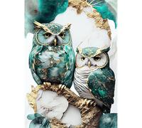 JATOK Diamond Art Kits Adults, Marble Blue Owl Pair, 30 x 40 cm | Gem art kits, full round drill diamond painting, DIY mosaic craft for beginners, 12 x 16 in canvas