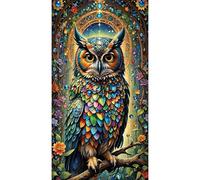 JATOK Large Diamond Art Kits Adults, Owl Diamond Painting Kits for Adults Beginners, DIY Full Round Drill Gem Art Crafts Home Wall Decor Relax Gifts, 40x70cm/15.7x27.5in