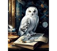 JATOK Paint by Numbers for Adults, Painting Kits for Beginners On Clear Symbols Colored Canvas, Easy DIY Acrylic Pigment Drawing Paintwork for Home Wall Decor, 16x20in Frameless, Owl