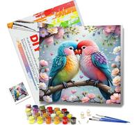 JATOK Paint by Numbers for Adults with Frame, Painting Kits for Beginners On Colored Canvas, Easy DIY Acrylic Pigment Drawing Paintwork for Home Wall Decor, 30x30cm/12x12in, Couple Birds