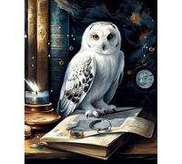 JATOK Paint by Numbers Kits for Adults, Painting Kits for Beginners On Clear Symbols Colored Canvas, Easy DIY Acrylic Pigment Drawing Paintwork for Home Wall Decor, 16x20in Frameless, Owl