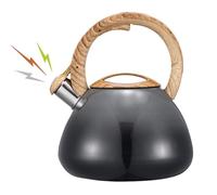 Jauhmui Whistling Kettle Stainless Steel 2.5L Stove Top for Gas Hobs(Grey)