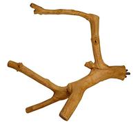 Java Multi Perch for Parrots African Greys