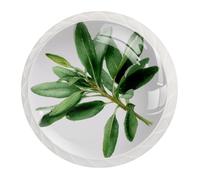 JAVENPROEQT 12PCS 35MM Crystal Door Knobs Cupboard Knobs Pull Handle with Screw for Drawer Wardrobe Cabinet Home Bedroom Kids Room Decor Botanical Green Sage Branch