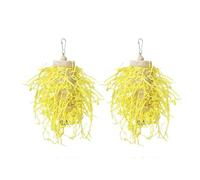 Javoryxh 2lots Pet Chewable Toy Bird Cage Ornaments Intelligence Training Tool Bird For Chewing Pleasure Hanging Accessory