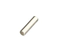 Javoryxh HiFi Silver Pillar With Multiple Size 5x20mm/6x25mm Option For Versatiled Use In Various Auditory Setting