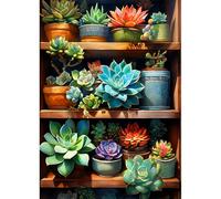 Jawecci Succulents Flowers Diamond Painting Kits, 5D DIY Diamond Painting Succulents Shelf Kits for Adults Beginners, Full Drill Round Diamond Art Painting Dots Craft Set Gifts 30X40cm