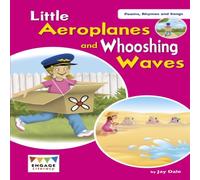 Jay Dale Little Aeroplanes & Whooshing Waves Paperback Book Jay Dale Multicolor