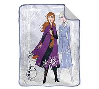 Jay Franco Disney Frozen Winter Scene 130 x 150cm Fluffy Sherpa Fleece Throw Blanket
