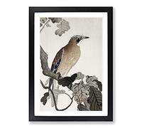 Jay on a Tree Branch by Ohara Koson Framed Print | A2 Black Framed Wall Art | Ready to Hang | Modern Floral Picture | Living Room Bedroom Lounge Office