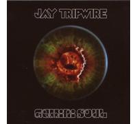 Jay Tripwire - Gemini Soul