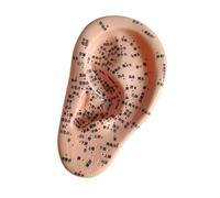 JAYIOLA A Atrial Acupoint Model of The Human Ear Model Teaching of The Ear for Nursing Care, Left