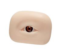 JAYIOLA Fake Eyes Model Silicone Makeup Practice Plate Eyebrows Eyelashes Training Tool Face Mannequin Detailed Simulation Trainee Beauty Salon Home, brown right