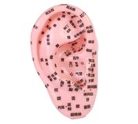 JAYIOLA Human Ear Acupoint Ear Teaching Model,Professional,Massage Practice Tool,Teaching Aid for Acupoint Practice Massaging SPA