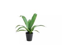 JAYOGLA Artificial Birds Nest Fern Plant in Black Pot, 40 cm, Green