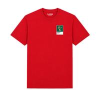 Jayson Tatum Celtics Basketball Icon Frame Men's T-Shirt - Red / 3XL