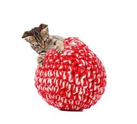 JAYU PET Red Cat Ball [W/Bell Version] - Handmade Silvervine Cat Toy with Catnip, Interactive Matatabi Ball for Indoor Cats & Kittens, Feline Play Toy & Gift (2.7 inch, 7cm)