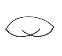 JAYWIS Car Rear Upper Trunk Windshield Strip For BMW E60 5 Series 525i 530i 528i 2004-2010 51317027916 Rubber Moulding Trim Seal Belt Outside Window Trim