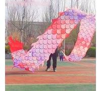 JAYWIS Dragon Poi Colorful Scale Dance Dragon Poi Kite, Washable Dragon Streamer Set with 3D Real-Like Dragon Head, Outdoor Physical Training Art Dance Flag (Color : Pink, Size : 6 m (20 ft))