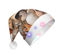 JAYWIS Seashell Landscape On The Beach -Print Adult Plush Light-Up Christmas Hat Led Effects, Festive Santa Headwear For Parties Gatherings Events.