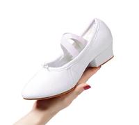 Jazz Shoes Women Dance Shoes Girls Ballet Jazz Salsa Shoes Soft Sole Low Heels Kids Dancing Slippers Pink Black Red Children Latin Sneakers(5ndoor White 2.5cm,35)