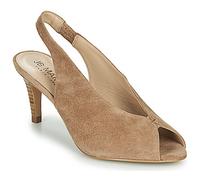 JB Martin Heels PIM in Brown 3.5