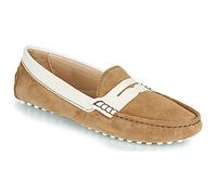 JB Martin Loafers / Casual Shoes 1TABATA in Brown 5