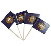 JBCD-021-State toothpick flag 1.38" x 0.98''