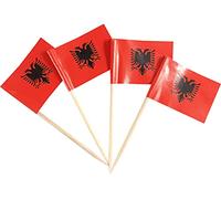 JBCD 200 Pcs Albania Flag Toothpicks Cupcake Toppers Decorations, Cocktail Toothpick Flag Albanian Cake Topper Picks Mini Small Flag Cupcake Pick Sticks