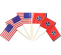 JBCD 200 Pcs American and Tennessee Flag Toothpicks Tennessee State Flags Cupcake Toppers Decoration, Cocktail Toothpick Flag USA Cake Topper Picks Mini Small Flag Cupcake Pick Sticks