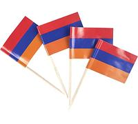 JBCD Armenia Toothpick Flag Armenian Mini Small Cupcake Topper Flags, 200pcs