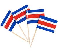 JBCD Costa Rica Toothpick Flag Costa Rican Mini Small Cupcake Topper Flags, 200pcs