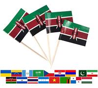 JBCD Kenya Toothpick Flag Kenyan Mini Small Cupcake Topper Flags, 100 pcs