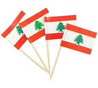 JBCD Lebanon Toothpick Flag Lebanese Mini Small Cupcake Topper Flags, 200pcs