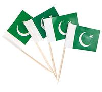 JBCD Pakistan Toothpick Flag Pakistani Mini Small Cupcake Topper Flags, 200pcs