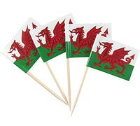 JBCD Wales Toothpick Flag Welsh Mini Small Cupcake Topper Flags, 200pcs