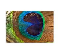 JBGQGAG Peacock Feathers Canvas Poster Wall Art Decor Print Picture Paintings for Living Room Bedroom Decoration 08x12inch(20x30cm)