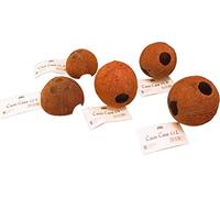 JBL Cocos Cava 1/1L, Coconut shell cave for aquariums and terrariums