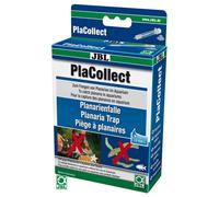 Jbl Placollect, New