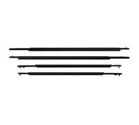 JBPIHZT for Toyota for Prius 2010 2011 2012 2013 2014 2015 4PCS Black Car Window Moulding Weatherstrip Seal Belt
