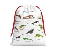 JBYJBX Different Types Of Lizard Print Convenience Drawstring Gift Multipurpose Pouches Daily Storage Travel Essentials