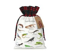 JBYJBX Different Types Of Lizard Printing Christmas Drawstring Gift Bag For Xmas Wrapping Festive Packaging Party Favors