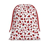 JBYJBX Ladybug Print Convenience Drawstring Gift Multipurpose Pouches Daily Storage Travel Essentials