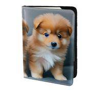 JBYJBX Pomeranians Puppies and Point 1 Print Passport 5.5in Travel Document Lightweight Wallet Men Women Business Leisure Trips