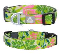 JC HOUSE Small Dog Collar with Reflective Logo and Soft Padded Neoprene,Summer Tropical Leaf Design, Adjustable,Lightweight & Durable, Neck Size 9’’-14’’ (Leaf, S)