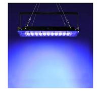 JCKJWL LED UV Curing Black Light 200W 300W Waterproof Ultraviolet Fluorescent Flood Lights For Bar Wall Party Halloween Decor Fast Curing(100W Type2)