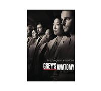 Jdekaec Classic TV Greys Anatomy Canvas Poster Bedroom Decor Sports Landscape Office Room Decor Gift Unframe-style 12x18inch(30x45cm)